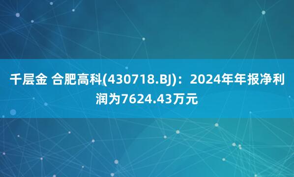 千层金 合肥高科(430718.BJ)：2024年年报净利润为7624.43万元