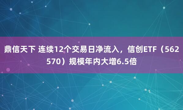 鼎信天下 连续12个交易日净流入，信创ETF（562570）规模年内大增6.5倍
