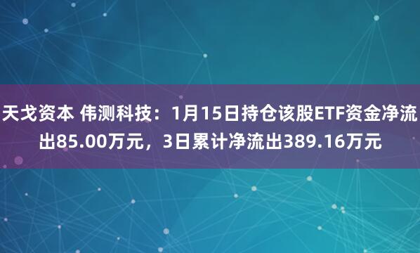 天戈资本 伟测科技：1月15日持仓该股ETF资金净流出85.00万元，3日累计净流出389.16万元