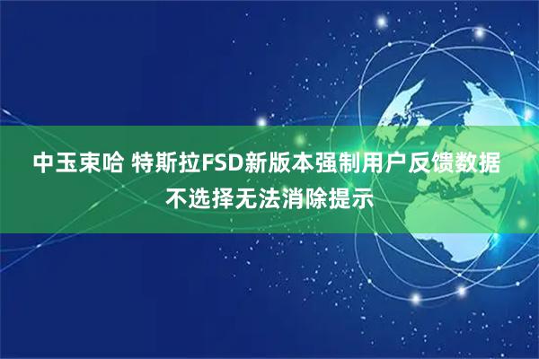中玉束哈 特斯拉FSD新版本强制用户反馈数据 不选择无法消除提示
