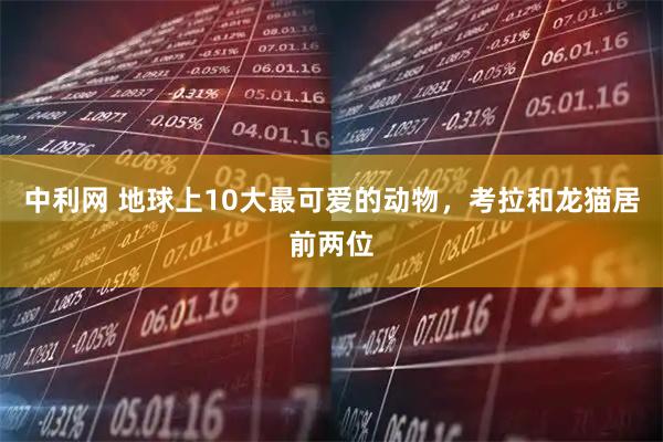 中利网 地球上10大最可爱的动物,考拉和龙猫居前两位