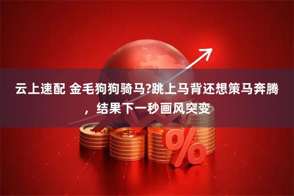 云上速配 金毛狗狗骑马?跳上马背还想策马奔腾,结果下一秒画风突变